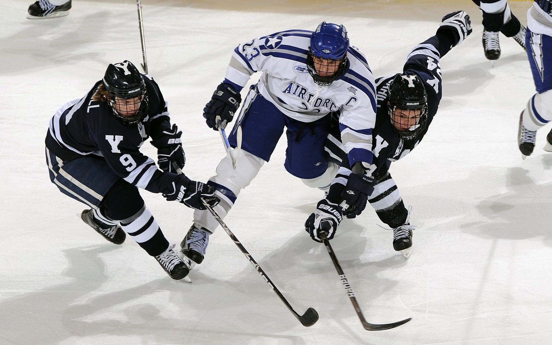 随机“峡谷穿梭：深山中的极速对抗”，峡谷穿越运动