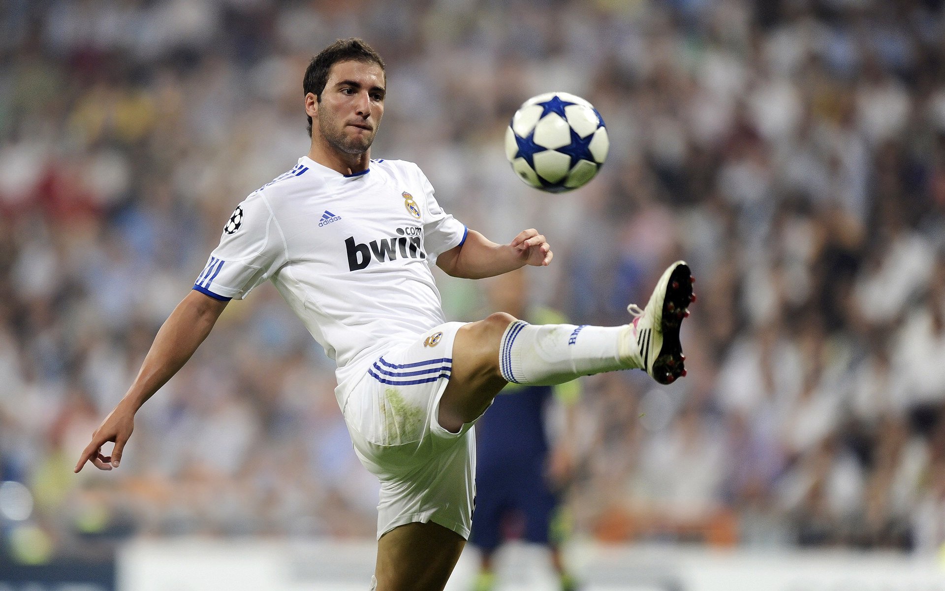 开云网页版-弗赖堡球员展现出色的进攻，轻松战胜对手，弗赖堡vs莱比锡比分预测