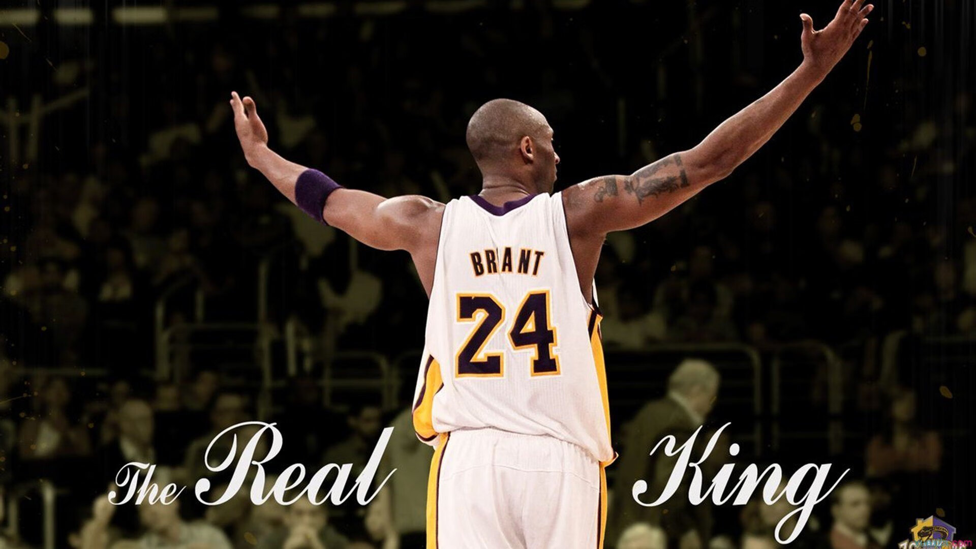 健身行业标准逐步完善,市场秩序规范,健身行业新规